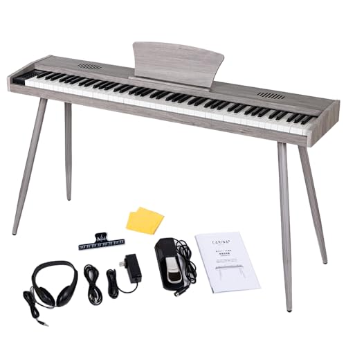 Carina Żҥԥ 88 ܡ  η MIDIб ƥڥ (졼)