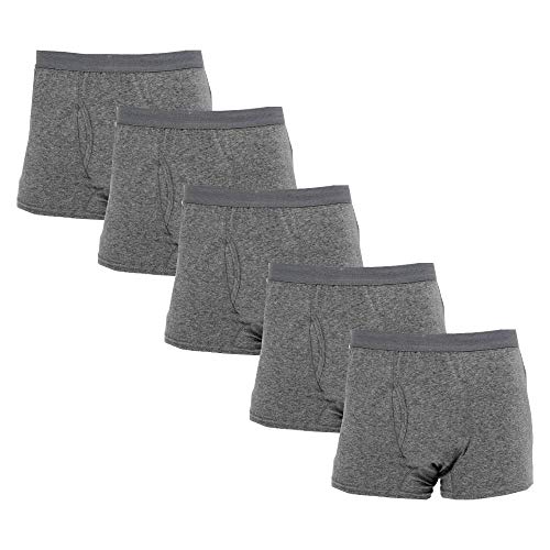 【5枚セット】リソー 快適ボクサーパンツDX 軽失禁パンツ (L, グレー)