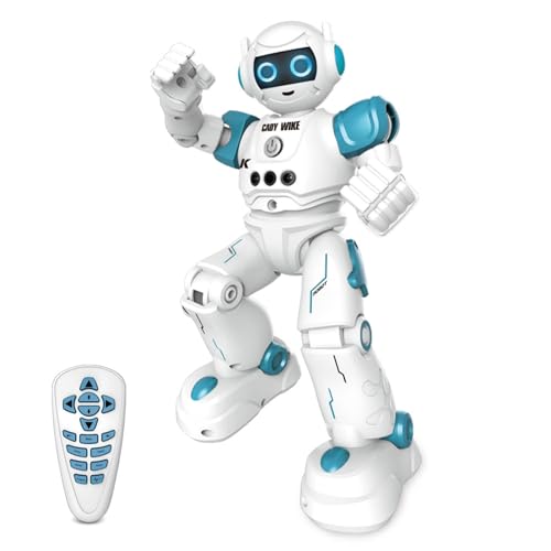 ܥåȥץ饶 (ROBOT PLAZA) ܥå  ˤλ ư 饸 Ҷ  ץ쥼  ΰ (֥롼)