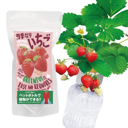  ݥå  ñ ڥåȥܥȥǰƤݥå  ͳ