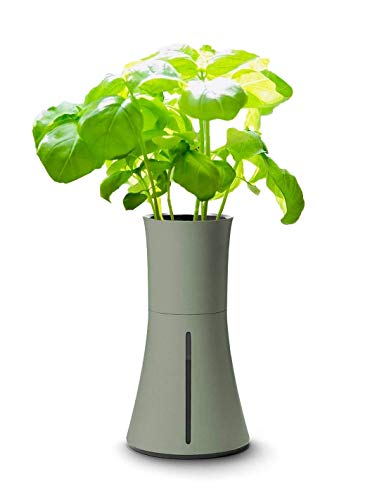 BOTANIUM(ボタニアム) 水耕栽培キット ローレルグリーン