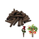【TOUFEIYUAN】 水耕栽培 スポンジ 水耕栽培30個入り植えるスポンジ 水耕栽培キット 詰め替えポッド 苗床 室内 ガーデン 植物育成無土壌栽培 ガーデ...