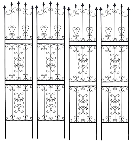 ǥ󥬡ǥ 򥨥쥬Ȥ˺̤ IBե  ϥ 48߹⤵219cm 4祻å ֥å ȥꥹ IBF-RSS...