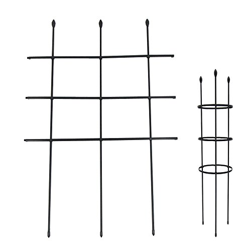 DAIM ߷ȥꥹ 60cm (⤵90cm)