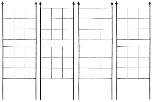 ǥ󥬡ǥ 򥨥쥬Ȥ˺̤ IBե ץ졼   ⤵146cm52cm 4祻å ֥å ȥꥹ IB...