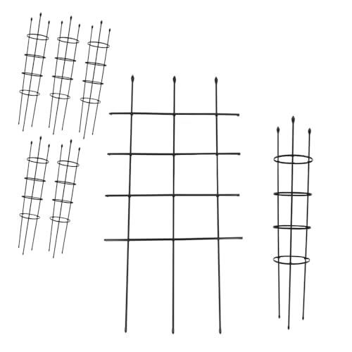 DAIM ߷ ȥꥹ ⤵120cm 60cm 5å  Х Ф Ĥʪ ץ󥿡 ٥ ٥ꥹ 饦ɥȥꥹ  ե...