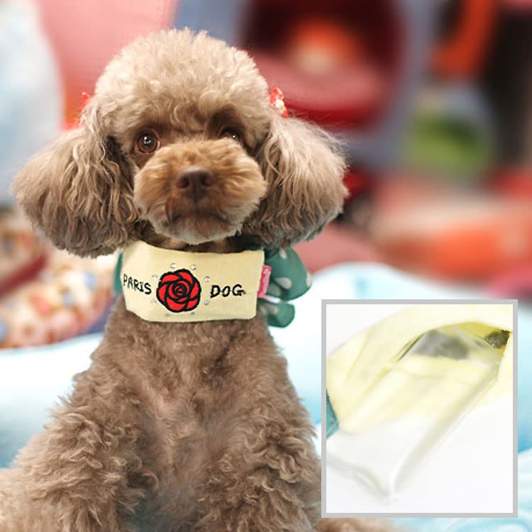   Ҥ   Х ѥ    Ф 襤 ͵  ä  ParisDog ѥꥹɥå ...