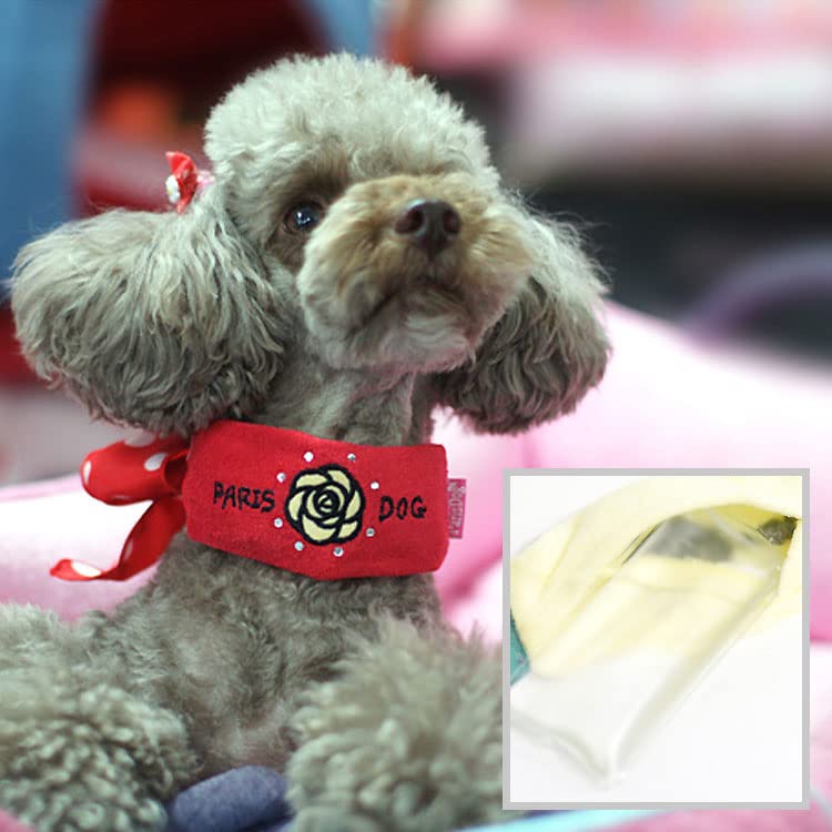   Ҥ   Х ѥ    Ф 襤 ͵  ä  ParisDog ѥꥹɥå ...