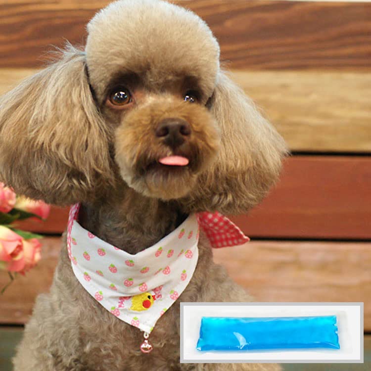   Ҥ   Х ѥ    Ф 襤 ͵  ä  ParisDog ѥꥹɥå ...