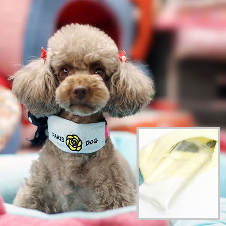   Ҥ   Х ѥ    Ф 襤 ͵  ä  ParisDog ѥꥹɥå ...