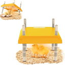 ヒヨコ用加熱プレート 15羽 雛用 ヒヨコヒーター 高さ・角度調節可能 サーモスタット制御 育雛加熱板 ひよこ用保温ヒーターパネル 省エネ 静音設計 鳥ひな ウズラ ヒーター 保温 ABS製 (USプ