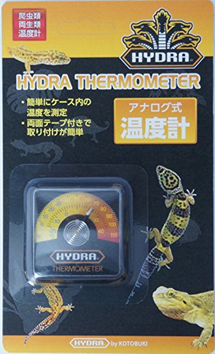 寿工芸 コトブキ工芸 ヒュドラ温度計