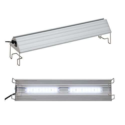  TRIANGLE LED VIVID 450    Ǯӵ ꥦ 饤 