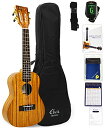 ELVISエルビス 憧れのハワイアンコア材 コンサートウクレレ K100C 美木目【歯切れの良い音色】【弾きやすいウクレレ】【安心の3年保証】【付属品8点セット...