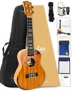 【初心者8点セット!】Aostinオースティン・UMI-1C Pro・コンサートウクレレ・カッタウェイ仕様/コンター加工・マホガニー材【安心の3年保証】【付属品...