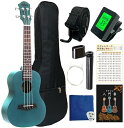 PERDIN コンサート ウクレレ 初心者セット 楽譜付き 10点セット 6曲 マホガニー 初心者 入門書 クッション入りケース コード早見表 チューナー ナイ...