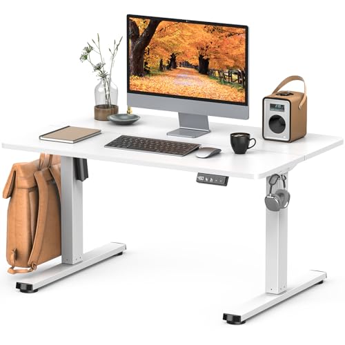 Zontera 電動 昇降式ローデスク 高さ調整48-75cm ロータイプ 上下昇降デスク（幅100cm x 奥行き60cm）..