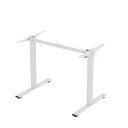 FLEXISPOT 電動式スタンディングデスク(幅120×奥行60,メモリー機能付き) 昇降デスク 高さ調節デスク パソコンデスク 人間工学 ゲーミングデスク ...