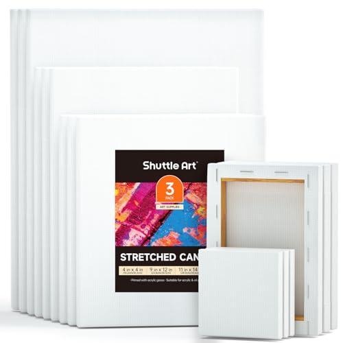 Shuttle Art Х 15祻å 5 100% Ȥ3 衦̲衦  ĥꥭХ  顼...