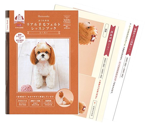 ϥޥʥ ꥢӥե å֥å ٥5  H441-065