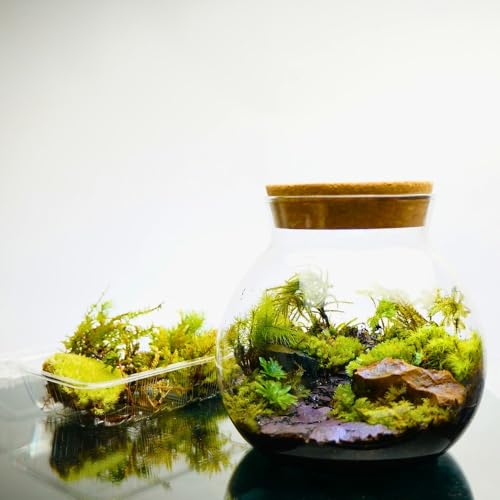 åȡۡо L:16cm ġʤ LED饤եܥȥƥꥦ ץ쥼 å ݥå   ϥɥᥤ å ...