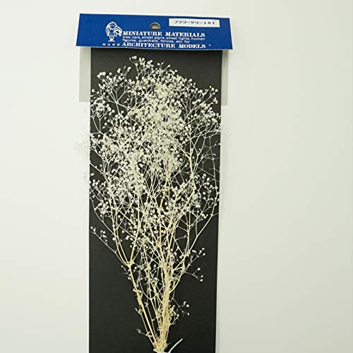 Ʋ(Koeido) ϷǺ եĥ꡼  ۥ磻 FL-101