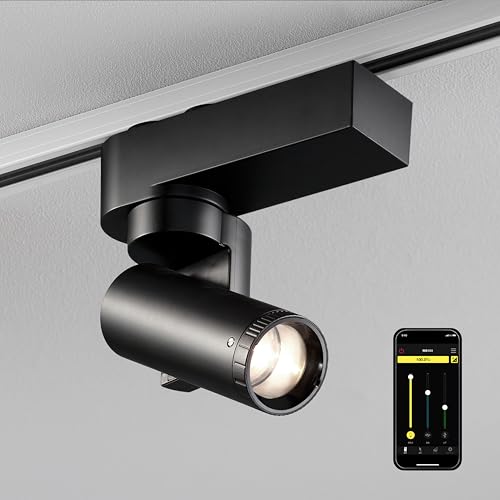 ֥ޥۤǤθư줤ʸΥݥåȥ饤ȡSALIOT ࡼӥ󥰥ݥåȥ饤 (ι 4000K)