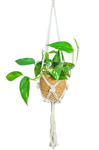 [ miipas ] ݥȥ տʪ ʪ ߤ겼 ߤ뤹 첼 ʪ ߤȭ ߤ뤹ȭ ɳݤ ʥȥ졼  եå  Ĥ뤹 Ĥ겼 ...