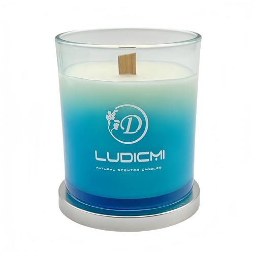 LUDICMIޥɥ 300g ǳ60 󡿥ꥹϥ ʲХɥ ѥѥβȹդɥ å ...