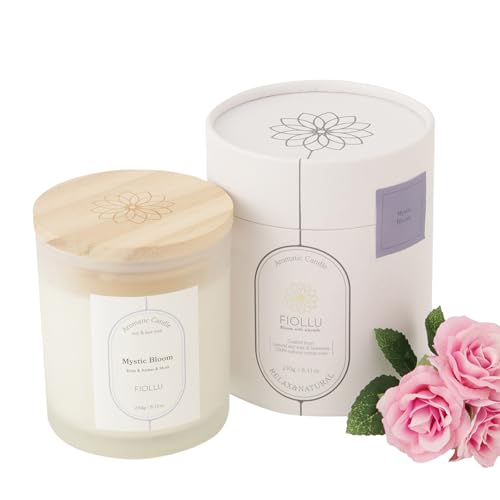 FIOLLU ޥɥ ǳ40 (Сॹ) ڥޥԥȴƽŷå&̪Ϲ  ̵ʿ 230g ե ...