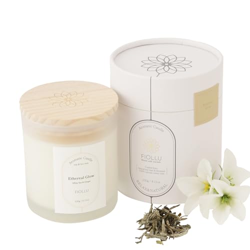 FIOLLU ޥɥ ǳ40 (ۥ磻ȡ󥸥㡼) ڥޥԥȴƽŷå&̪Ϲ  ̵ʿ230g ե Eth...