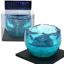 キャンドリー(Candly) アロマキャンドル プラネットフローティングキャンドル(浮かぶ惑星) アース フレッシュサボンの香り ハンドメイド