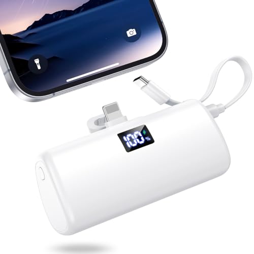 ХХåƥ꡼   Х롦Хåƥ꡼ 饤ȥ˥󥰥ͥC֥¢ ѥ Type-C ® н ӽ...