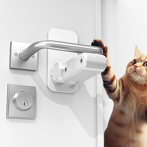 1ġۥɥΥ å 㥤ɥå ɥå ݰΤƽ  å ɥΥ֥С ǭ æɻ դ ִñ ֤ ڥå ɥ...