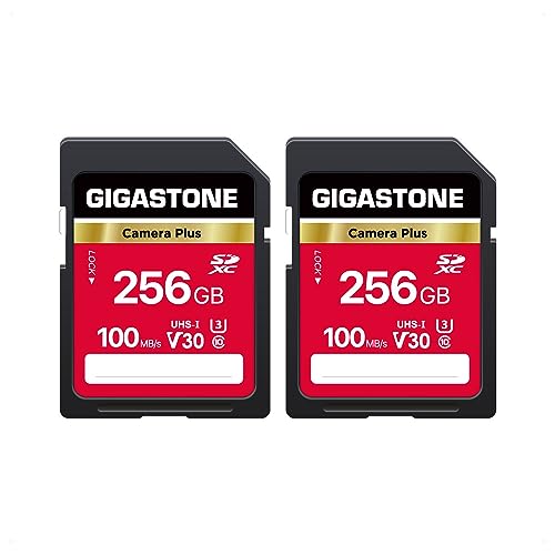 5ǯݾڡGIGASTONE 256GB SD 2ĥå Camera Plus SDXC UHS-I V30 U3 C10 100MB/s ꡼...