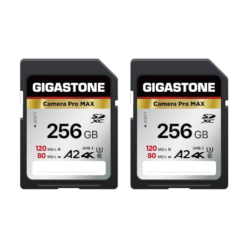 【5年データ復旧・無償交換保証】GIGASTONE SDカード 256GB 2個セッCamera Pro MAX SDXC UHS-I A2 V30 U3 C1...