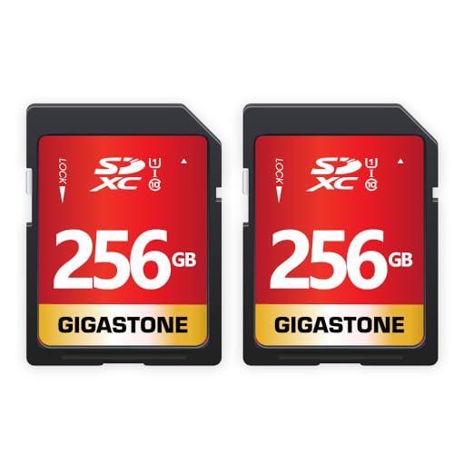 5ǯݾڡGIGASTONE 256GB SD 2ĥå SDXC UHS-I U1 C10 80MB/s ꡼ եHD ӥǥ ǥ...