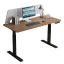 デスク 電動式 パソコンデスク Radlove ゲーミングデスク 机 電動昇降式スタンディングデスク パソコンラック PCデスク つくえ pcデスク 高さ調節可...