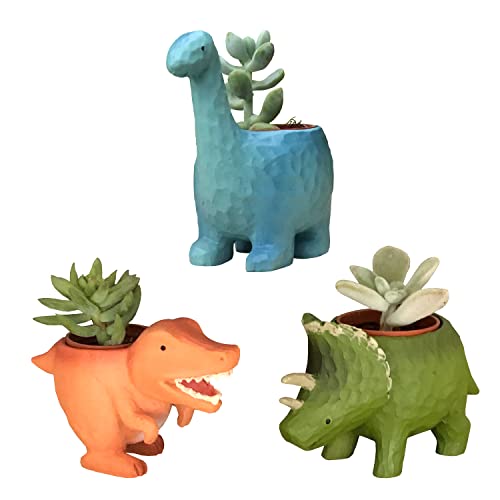 花のギフト社 多肉 恐竜 新生活 陶器鉢 観葉植物 ギフト かわいい インテリア 新築祝 プチギフト