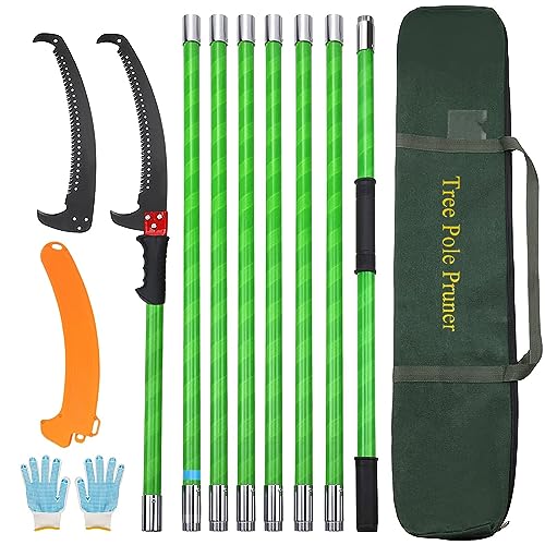 Kokorona 8m ڤΥ ưΤ 8ʳ ̹ڤХ ⤵ĴХ ѵ ݲ̼