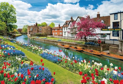 ۥӥХ꡼ 1000ޥԡ ѥ 󥿥٥꡼ ֺ餯ƻ2638 1000M-018