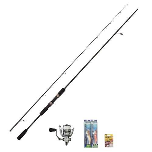 FIVE STAR ꥤå  鿴 å ܹ֥