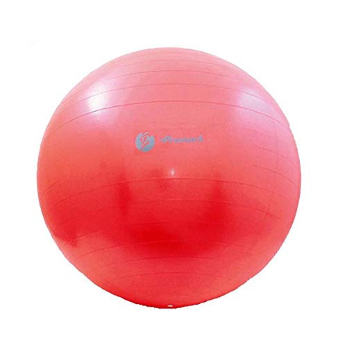 サクライ貿易(SAKURAI) Promark(プロマーク) 野球 バランスボール レベル2 立花龍司監修 65cm TPT0268