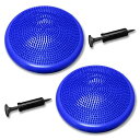 DABADA(ダバダ) バランスディスク バランスクッション 体幹クッション ポンプ付き (ブルー2個)