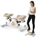 【2024年 BTM ステッパー 静音 自宅での足踏み 室内 エクササイズマシン ダイエット器具 有酸素運動 室内 トレーニング 健康器具 軽量 コンパクト 省...