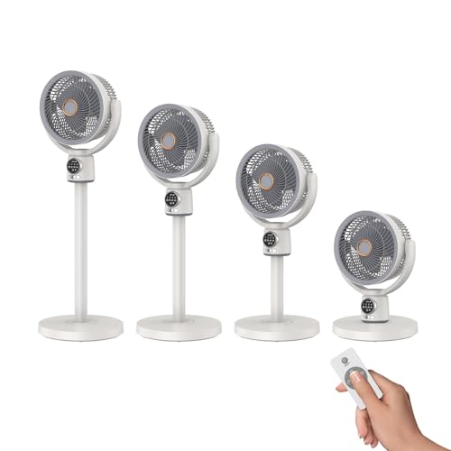 2025Ƕǥкۥ졼   ư󿶤 פ 5ʳĴ DC⡼ ѥե Ų ⥳դ ޡ...