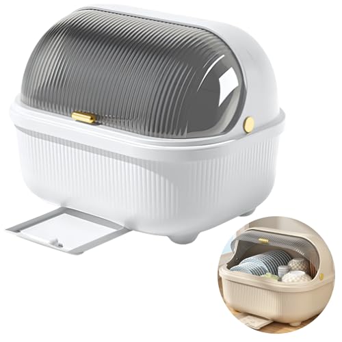 DIZLAS ڤå ﴥ絡  ڤ꤫ ê Ǽ   դ (ۥ磻)