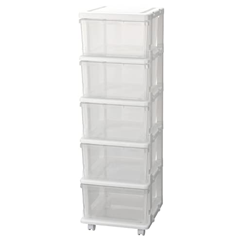 JEJ SEEDS()  5 㥹դ ꥢ SIU-5-CL