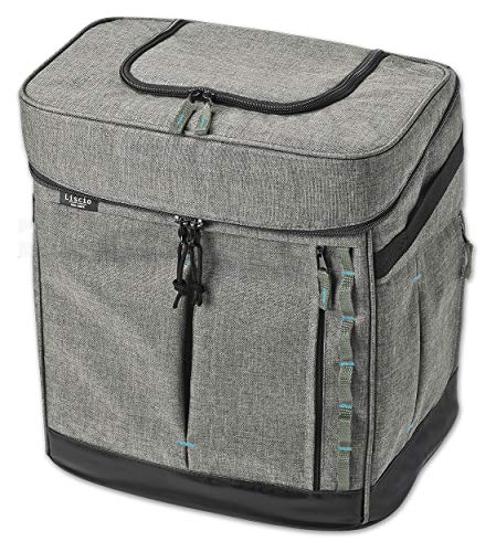 アドメイト (ADD. MATE) Liscio CAT リシオ キャット リュックキャリー グレー 防災 移動用