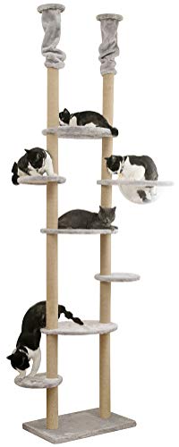 Mwpo Ʃ դƩƥå ͤĥ꥿ץåȥ Ф꥿ ¿Ƭ ŷɳ ޤȤꥬ ư­ ȥ...